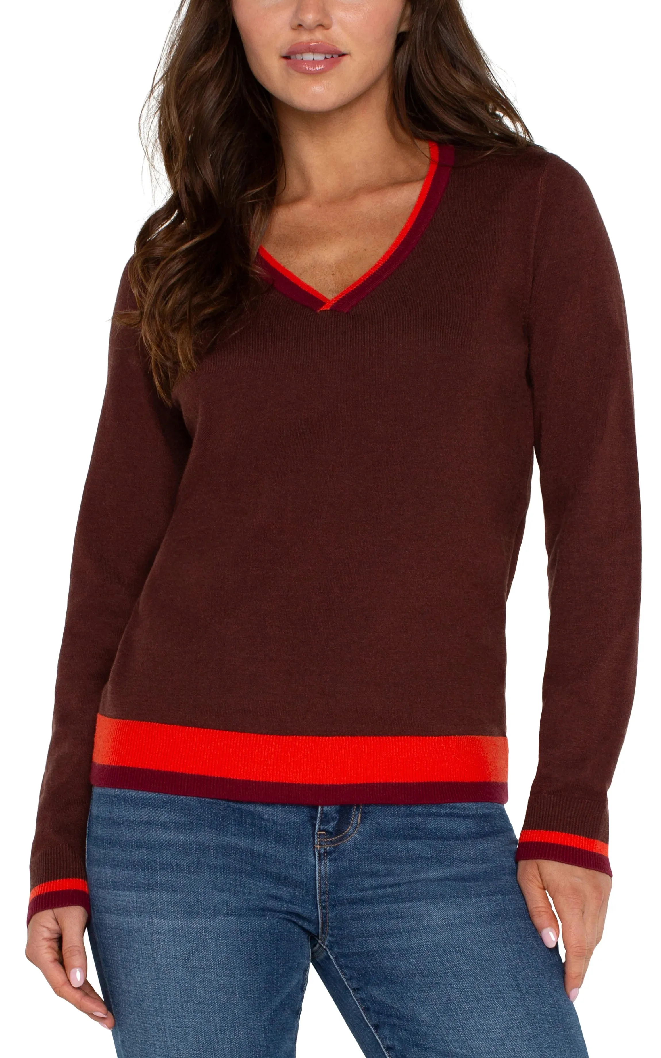 Colorblock Sweater in Retro Brown Multi