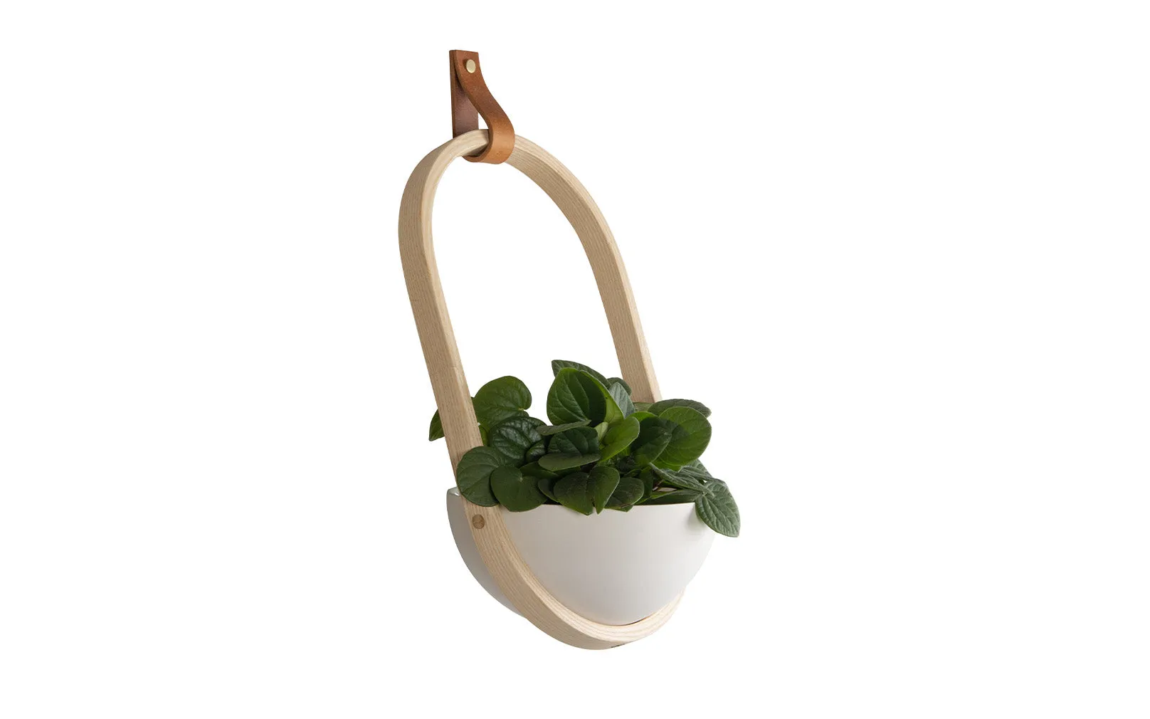 Maya Wall Planter